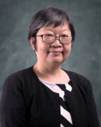 Prof. Ts. Lee Chien Sing